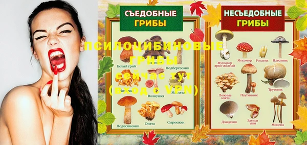 мдма Богородицк