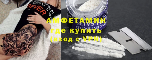 прущие грибы Галич
