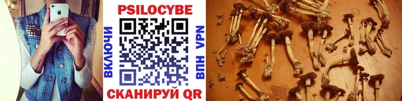 мега ССЫЛКА  Сланцы  Псилоцибиновые грибы Cubensis  хочу  